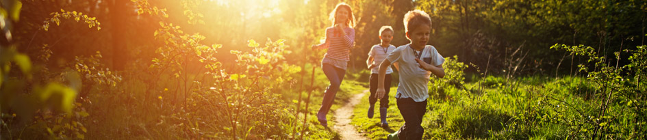 Group of kids running in nature by sunset